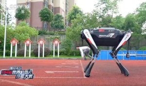 1 سگ رباتیک چینی 1 سگ رباتیک چینی | روکوتک