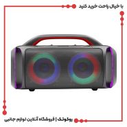 اسپیکر قابل حمل بی دبلیو مدل BW-E149